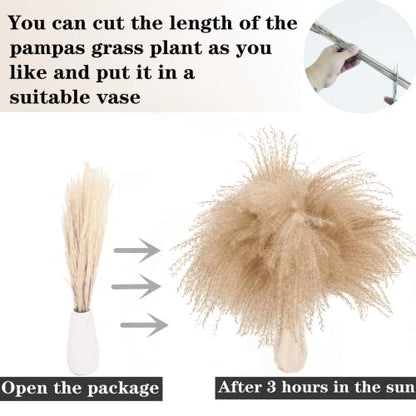 200PCS Dried Flower Bouquet – Pampas Grass, Floral Decor for Home, Wedding, and Boho Style | Perfect for Vases, Fall, Spring, Summer, and Winter Arrangements - size: 200PCS