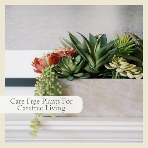 Oblong Faux Succulent Arrangement, 27" Premium Artificial Indoor Plant Enhances Interior Design, Display on any Surface in Your Home Adding an Inviting Touch of Nature, Natural Planter Pot Included - size: 27" Oblong Khaki