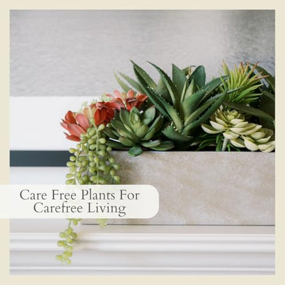 Oblong Faux Succulent Arrangement, 27" Premium Artificial Indoor Plant Enhances Interior Design, Display on any Surface in Your Home Adding an Inviting Touch of Nature, Natural Planter Pot Included - size: 27" Oblong Khaki