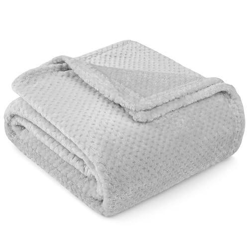 PAVILIA Fleece Throw Blanket for Couch Sofa Bed, Light Gray 60x80 Twin | 280 GSM Soft Fuzzy Waffle Textured Jacquard Microfiber, Warm Lightweight Fade-Resistant Decorative Decor, All Season Gift - color: Light Gray, size: 60 X 80 Inches - Twin