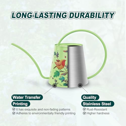 Berry&Bird 2L Long Spout Watering Can, Stainless Steel Water Can (Robin) | 2L stainless steel watering can, long narrow spout, elegant print, curved handle, leakproof, houseplant watering & decor - color: Robin