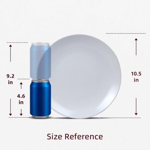Restaurant Value, Stoneware Coupe Shape Plate 10.5", Matte White, Case of 12 - color: Matte White, size: Plate 10.5"