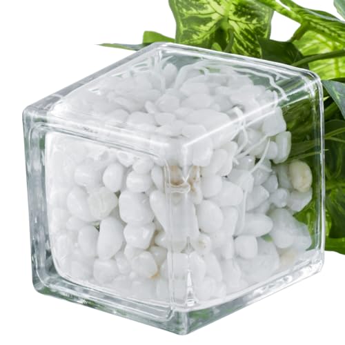 MyGift Artificial Clover and Taro Plants in Clear Glass Vase with Decorative White Stones, Set of 3 - color: Clear (White Pebbles)