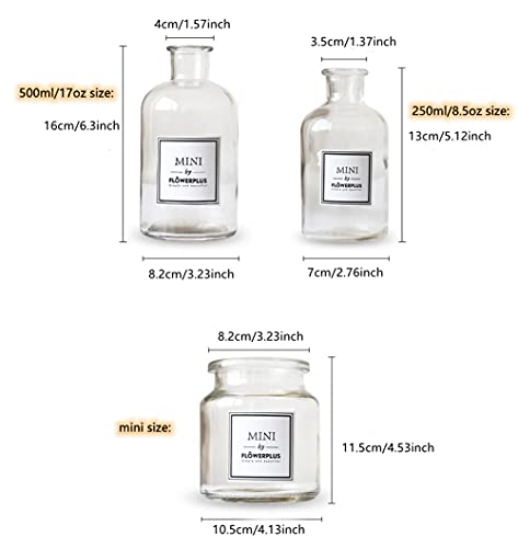 Glass Bud Vase Set Nordic Clear Glass Bud Flowers Apothecary Jars Mini Desktop Table Vases Decorative Glass Bottles Centerpiece for Wedding Craft Art Living Room Home Decoration (8.5oz-1pc) - size: 8.5oz-1pc