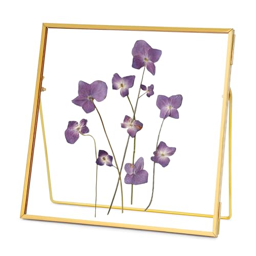 REDHUGO Double Glass Frame for Pressed Flowers, Square, Gold, 8x8 Inches | Handmade, Tabletop Photo Frame for Floating Picture and Flower Press, Simple, Metal Geometric - color: Gold, size: 8L" x 8W"