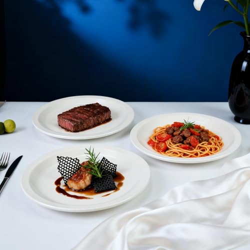 Stoneware Narrow Rim Commercial Grade Dinnerware America White, Plate 9 5/8", Case of 24 - color: America White, size: Plate 9 5/8"