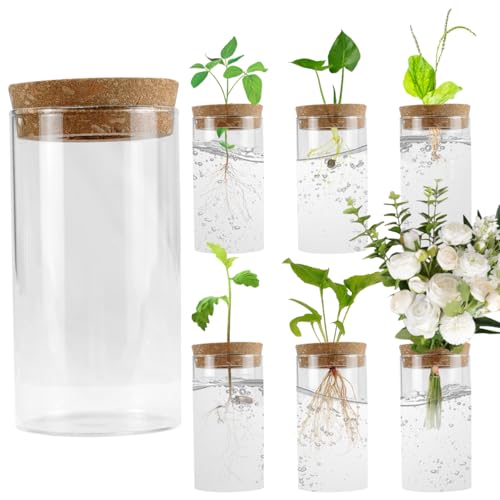 6 PCS Glass Plant Propagation Station for Plants Set Desktop Hydroponic Vases for Succulent Cuttings, Home Office Decoration, Desktop Planter Jars Being Able to Clearly See How Roots Develop