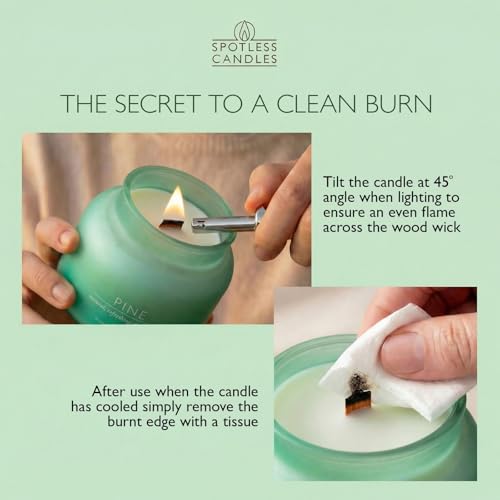 Pine Volcano Candle 19oz: 80-Hour Burn, Natural Refreshing Pine Scent, Hybrid Soy Wax, Crackling Wood Wick, Teal Matte Glass Jar, Gold Foil Gift Box by Spotless Candles - color: Pine 19, size: 19oz