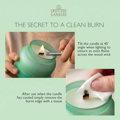 Pine Volcano Candle 19oz: 80-Hour Burn, Natural Refreshing Pine Scent, Hybrid Soy Wax, Crackling Wood Wick, Teal Matte Glass Jar, Gold Foil Gift Box by Spotless Candles - color: Pine 19, size: 19oz