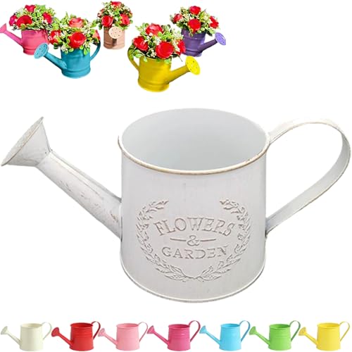 Tinplate Watering Kettle 1L, Mini Metal Watering Can with Long Spout and Handle, Vintage Flower Sprinkling Can for Indoor Plants, Patio and Garden Use (Retro White-D02) - color: Retro White-d02