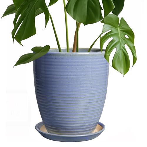 EEPFamily 8 Inch Plant Pot- Ceramic Planter for Indoor Outdoor with Drainage Hole and Plant Tray, Modern Round Porch Home Office Garden Living Room Decor, House Warming Gifts, Blue-Purple - color: Blue-bright, size: 8 Inch