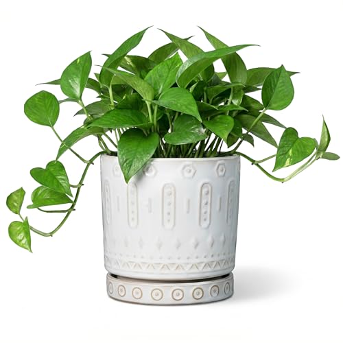 Eightpot Ceramic Planter, 6 Inch Pot for Plants with Drainage Holes and Tray, Round Plant Pots for Indoor Outdoor Plants, Boho Decorative Flower Pots, Home Room Decor, Gifts for Women, White - color: White - 2, size: 6 Inch