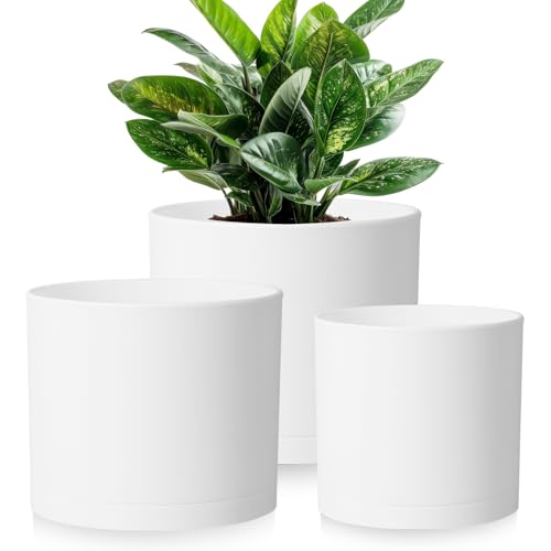 Large Plant Pots Set of 3 – 8", 9", 10" Indoor Flower Pots with Drainage Holes and Saucers, Big Planters for Monstera, Fiddle Leaf Fig, Snake Plant – 5 Colors - color: White