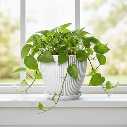 Ceramic Pots for Plants, 6 Inch Plant Pot with Drainage Hole and Saucer, Round Ceramic Flower Pots for Indoor Plants, Modern Small Succulent Planter, Room Home Decor, Plant Lover Gifts, White - size: 6 Inch, style: White