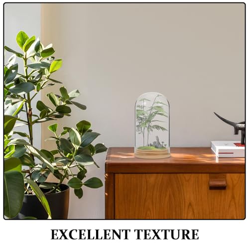 NUOBESTY Glass Cloche with Base Desk Terrarium for Office Hydroponic Vase for Propagation Clear Display Dome for Indoor Plants Tabletop Succulent Planter 4.72 X 2.75 X 2.75 in