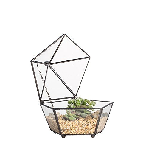 NCYP Small Glass Geometric Terrarium, Closed Jewel-Boxed Shape Container, Plant Succulent Planter Pot, Indoor Garden Decor, 5.3" x 5.3" x 4.5" (Terrarium Only)