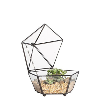NCYP Small Glass Geometric Terrarium, Closed Jewel-Boxed Shape Container, Plant Succulent Planter Pot, Indoor Garden Decor, 5.3" x 5.3" x 4.5" (Terrarium Only)
