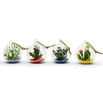 WGV Hanging Terrarium Globe Bulk, Width 2.25", Height 2.75", DIY Air Succulent Planter, Clear Glass Vase Orb with Flat Bottom, Candle Holder for Windowsill Outdoor Garden Decor, 12 Pieces