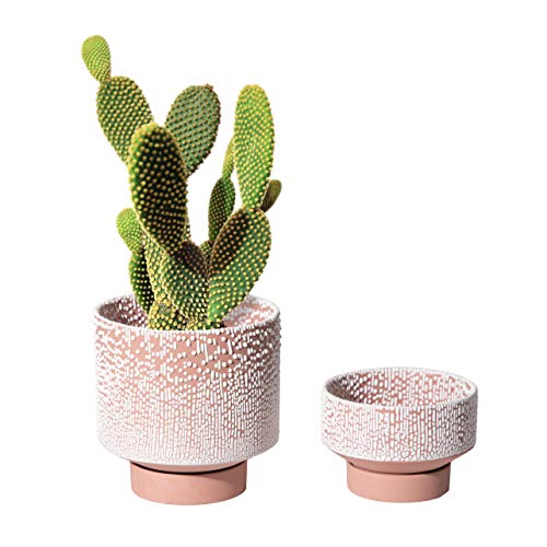 UBEE Planter Ceramic Flower Pot for Indoor Plants | 5.5 inch + 4.9 inch Plant Pot with Saucer and Drainage Hole for Aloe, Snake Plants, Pothos, Orchid, Terracotta with White Glaze Dot - color: Terracotta-glaze Dot