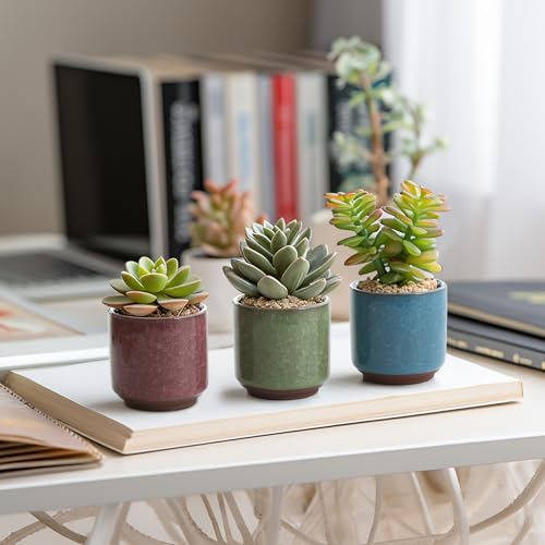 T4U 2.5 Inch Small Ceramic Succulent Planter Pot with Drainage Hole Set of 6, Ice Crack Glaze Plant Container for Cactus, Succulent Plant Gifts for Women Mom Aunt Home Office Decor | Deep root containers, for small cactus plants, bonsai tree starter pots,