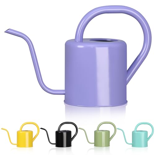 Watering Can, Stainless Steel Watering Can for Indoor & Outdoor Plants, 1L/35oz Long Spout Water Can with Handle, Rust-Proof Plant Watering Pot for House Plants, Garden Flowers - color: Purple