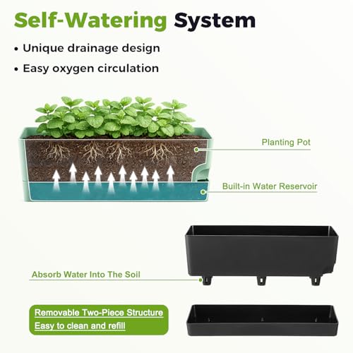 Self Watering Pots for Indoor Plants 17 Inches Window Boxes Planters Rectangular Flower Pots Rectangle Herb Pots Large Plant Pots with Drainage Holes and Saucers Windowsill Planter (2, Black) - color: Black