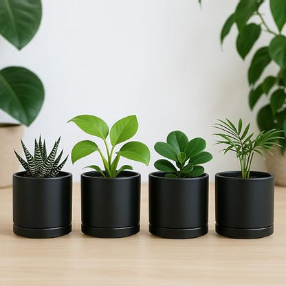 D'vine Dev 4-Pack Ceramic Pots with Saucers, Black, 3.5 in, 94-X-A-2 | Glazed Ceramic, Drainage Hole and Saucer, Sleek Cylinder Shape, High Temperature Fired, Ideal for Small Houseplants - color: Black, size: 3.5 Inch