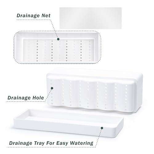D'vine Dev Rectangular Planter, 12 x 4.5 in, White, Set of 1, 76-X-A-1 | Minimalist Design, Large Planting Capacity, Drainage Holes & Saucer, Thick-Walled Durable Build, Ideal for Windowsills - color: White