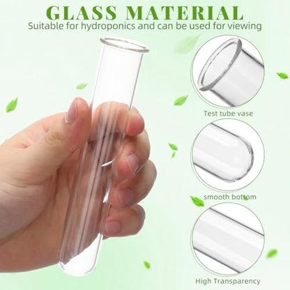 Veemoon 4pcs Plant Propagation Glass Tubes Clear Plants Test Tubes Tiny Hydroponic Planter Vase Decorative Table Terrarium Propagation Station Accessory for Home Office Garden Hydroponic Cuttings