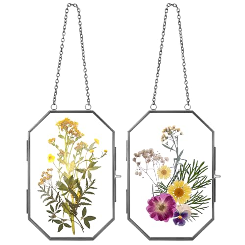 Qunclay 2 Pcs Double Glass Frame for Pressed Flower Frames Floating Wall Hanging Metal Chain for Display Dried Plant Specimen Picture Pretty Gifts for Mom Friends DIY Handy Craft(Black,4 x 6 Inch) - color: Black, size: 4 x 6 Inch