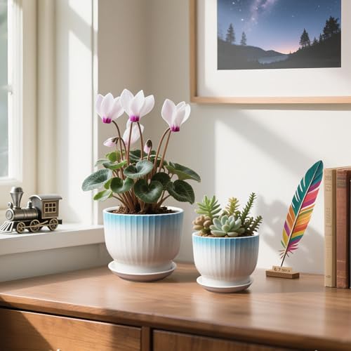 6.7 + 5.5 Inch Ceramic Plant Pots,Planters with Drainage and Saucer,Indoor Pots for Plants,Modern Flower Pots for Home and Office（Blue + White） - color: Blue + White