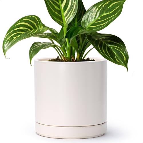 D'vine Dev 8.2 Inch Ceramic Planter Pot, Oatmeal, 94-O-D-8 | Modern Cylinder Design, Drainage Hole & Saucer Included, Stable Structure, Elegant Home Accent - color: Oatmeal, size: Medium