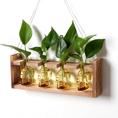 Plant Propagation Stations Halloween Skull Plant Terrarium Kit | Glass Vases Gift for Father Air Planter Home Office Decor - color: Gold
