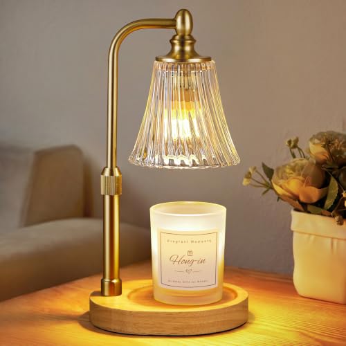 Hong-in Candle Warmer Lamp with Timer,Birthday Gifts for Women Mom Sister | Adjustable Height,Dimmable,Wax Melt Warmer for Jar Candles,Ideal for Office,Dorm,Bedroom Home Decor - color: A-Clear