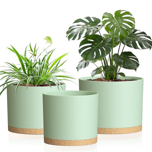10/9/8 Inch Plant Pots 3 Pack, with Drainage Hole & Saucers | Cylindrical plastic planters with drainage holes & saucers. Modern matte finish, lightweight & durable for indoor/outdoor use - color: Matte Green&brown