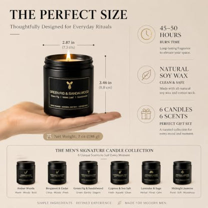 Scented Candles Set, 6 Pack Soy Wax Candles for Home, 42 oz, Birthday Gift | Up to 200 Hours Total Burn Time, Bergamot Cedar Lavender Sage Cypress Sea Salt Jasmine Amber Woods - color: 6 Pack Candle Set