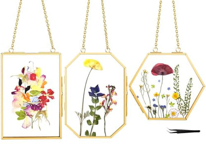 3 Pcs Pressed Flower Frames with Tweezers, Wall Hanging Double Glass Frames with Metal Chain for Pressed Dried Flowers Plants, Golden - color: Gold-3