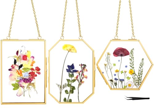 3 Pcs Pressed Flower Frames with Tweezers, Wall Hanging Double Glass Frames with Metal Chain for Pressed Dried Flowers Plants, Golden - color: Gold-3