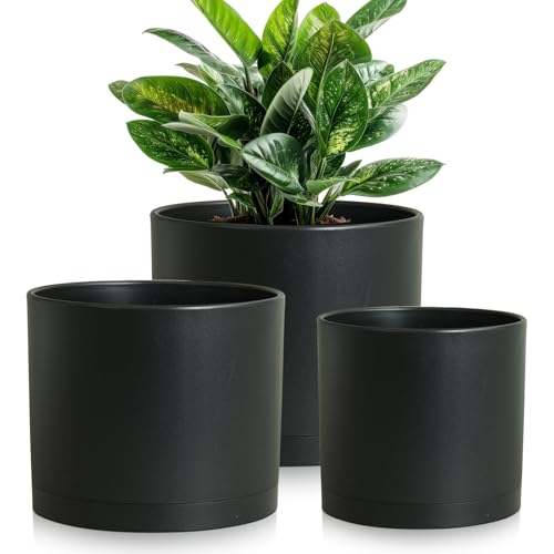 Large Plant Pots Set of 3 – 8", 9", 10" Indoor Flower Pots with Drainage Holes and Saucers, Big Planters for Monstera, Fiddle Leaf Fig, Snake Plant – 5 Colors - color: Black