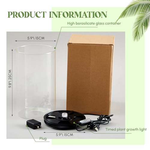 Glass Plant Terrarium Kit with LED Grow Light, Desk Terrarium for Venus Fly Trap, Succulents, Moss & Miniature Garden, Borosilicate Glass Desktop Planter for Home Office(9.8 x 5.9 Inch) - size: 9.8 x 5.9 Inch