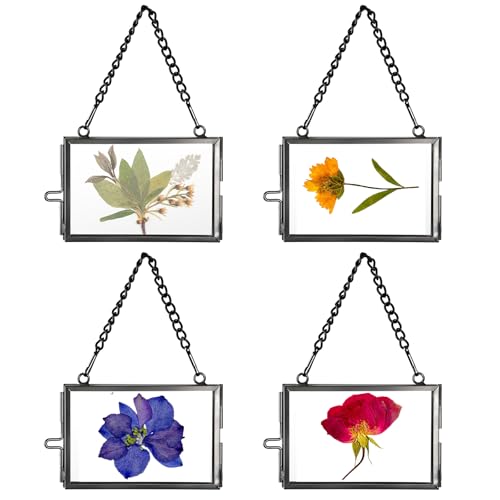 JUXYES 2x3 Hanging Mini Double Glass Picture Pressed Flower Frame Ornament | 4 Pack Small Black Brass Floating Display Frame with Chain, Wallet Size Tiny Frame Ornament for Xmas Tree Party Wall Decor - color: Black, size: Horizontal