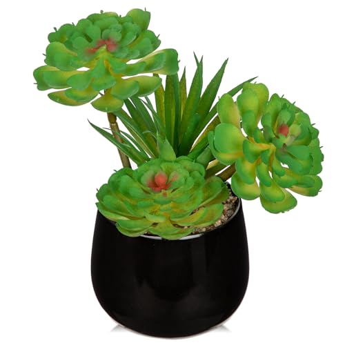 Briful Artificial Succulents Plants in Ceramic Pot, Faux Succulent with Black Planters – Modern Desk Decor for Home Office Shelf Bathroom, Small Fake Plants Potted - color: Black# 1pcs