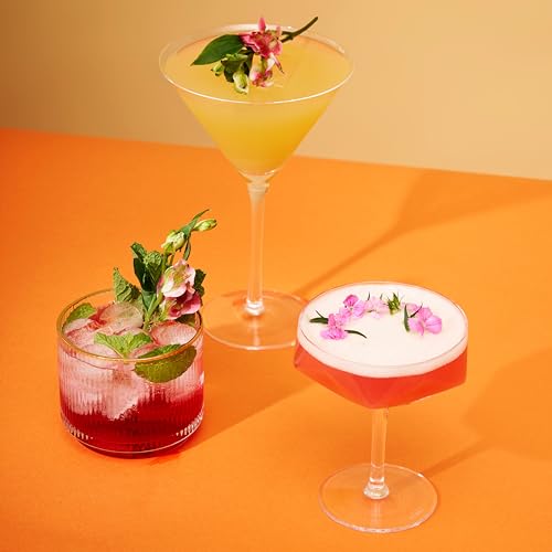 Viski Stemmed Martini Glasses, Home and Bar Drinkware, Premium Crystal Martini Accessories, Cocktail Glasses, Set of 2, 9oz, Clear - style: Stemmed Martini Glasses