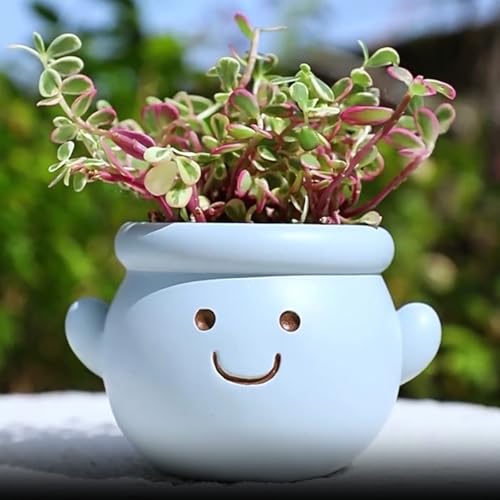 Cute Face Planter Pot, Small Resin Head Planters for Indoor Plants, Funny Smiling Face Flower Pot Succulent Planter with Drainage Hole, Gift IdeaI for Birthday Christmas (Blue) - color: Blue