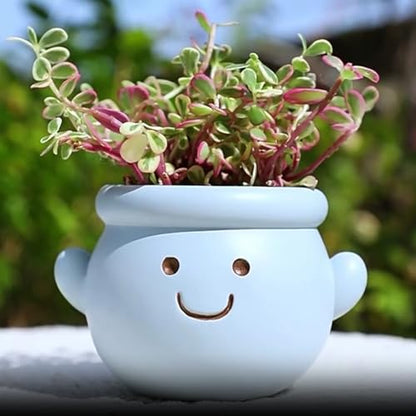 Cute Face Planter Pot, Small Resin Head Planters for Indoor Plants, Funny Smiling Face Flower Pot Succulent Planter with Drainage Hole, Gift IdeaI for Birthday Christmas (Blue) - color: Blue