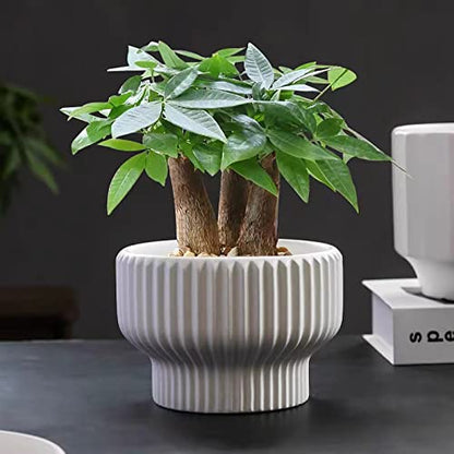 Puoyik 2 Piece Set of Flower Pots 8/6 inches, Ceramic Flower Pots with Drainage Holes, Indoor and Outdoor Plant Flower Planter (7.8/5.9 White) - color: 7.8/5.9 White