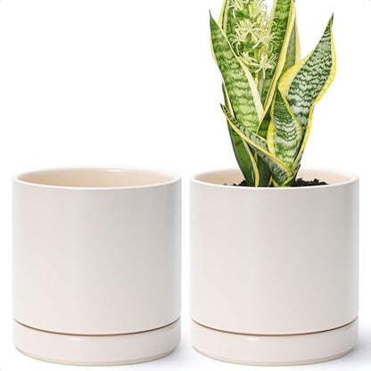 D'vine Dev 2-Pack Ceramic Pots with Saucers, Oatmeal, 6.5 in, 94-V-C-8 | Modern Cylinder Design, Glazed Ceramic, Drainage Hole & Saucer Included, High Temperature Fired, Elegant Home Accent - color: Oatmeal, size: 6 Inch