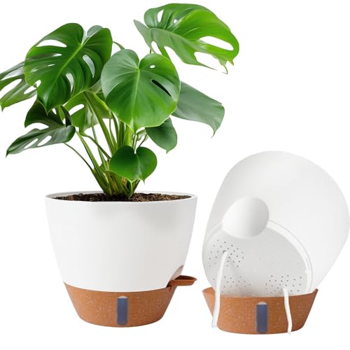 2 Pack 10 inch Plant Pots, Plastic Self Watering Planters | Drainage Holes, Deep Reservoir, Water Level Indicator, Modern Decorative Flower Pots for Indoor Outdoor Plants, White - color: White, size: 10 inches