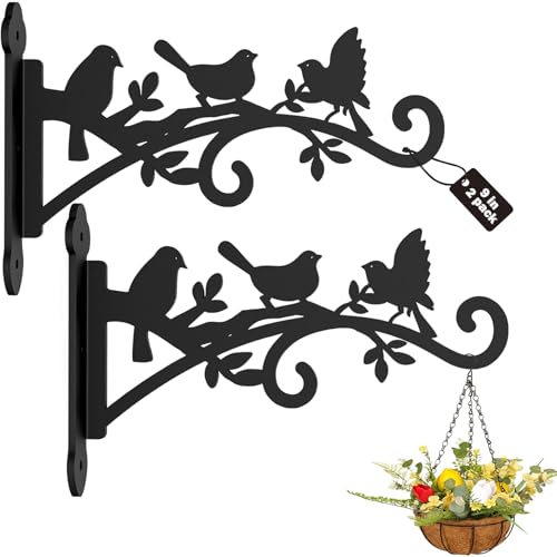 2Pcs-9in Hanging Plant Hanger Outdoor Heavy Duty Plant Bracket Wall Hooks | Metal Plant Bracket Hook for Outdoor or Indoor Hanging Flower Baskets Lantern Laser Cutting Technology. One-Piece Molding - size: 9 Inch, style: Bird Shaped-2pack