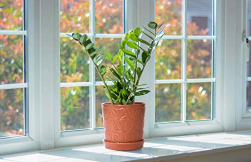 D'vine Dev 2-Pack Geometric Stoneware Planters, 3.8/5.8 in, Canyon, 99-E-5 | Drainage Hole and Saucer, Sculptural Geometric Design, Rich Glazed Surface, Modern Style, Elegant Accent for Indoor Plants - color: Pottery Red